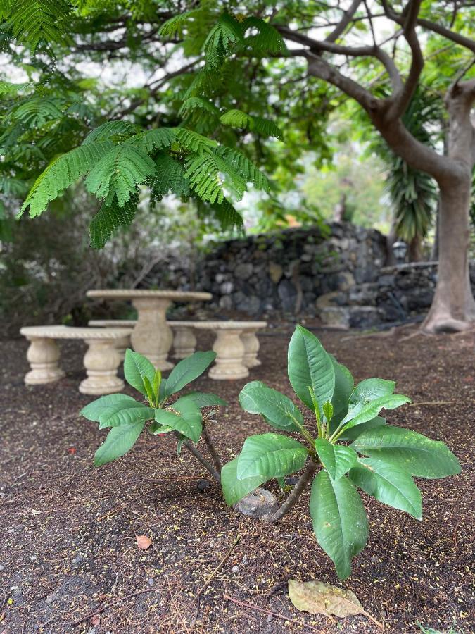Casa Morera Fuencaliente de la Palma Eksteriør bilde